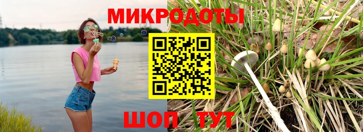 Псилоцибиновые грибы MAGIC MUSHROOMS  Псилоцибиновые грибы MAGIC MUSHROOMS  купить наркотики цена  Вход с VPN  Зерноград 